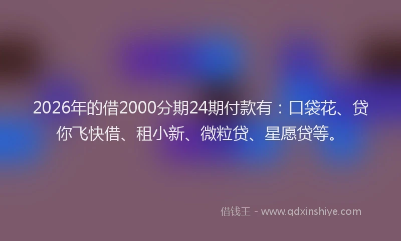 2026年的借2000分期24期付款有：口袋花、贷你飞快借、租小新、微粒贷、星愿贷等。