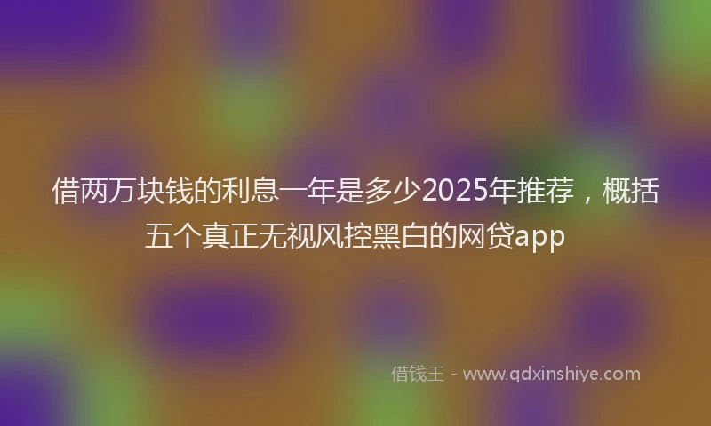 借两万块钱的利息一年是多少2025年推荐，概括五个真正无视风控黑白的网贷app