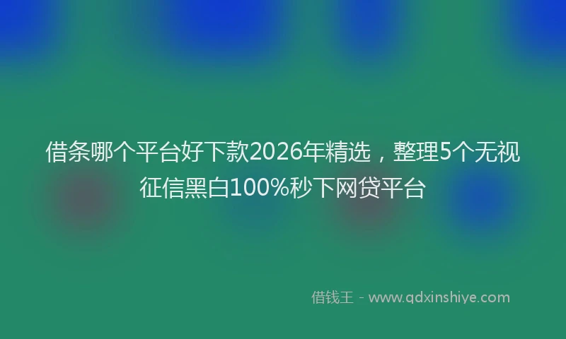 借条哪个平台好下款2026年精选，整理5个无视征信黑白100%秒下网贷平台