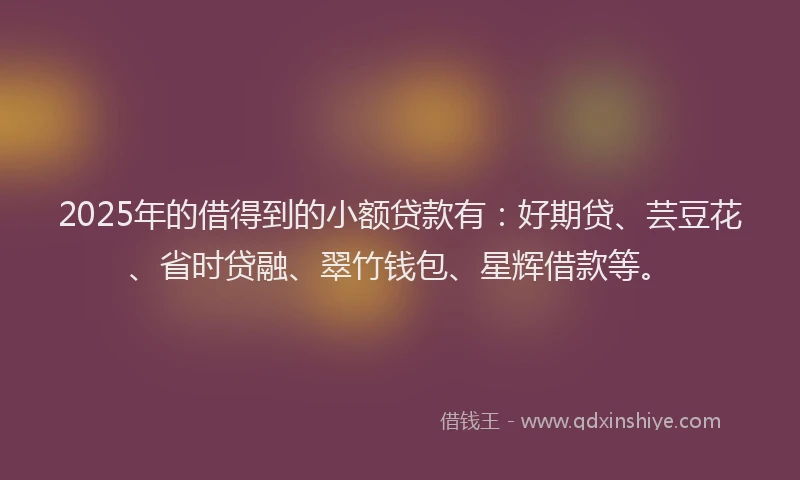 2025年的借得到的小额贷款有：好期贷、芸豆花、省时贷融、翠竹钱包、星辉借款等。