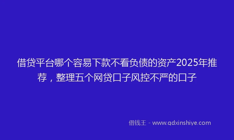 借贷平台哪个容易下款不看负债的资产2025年推荐，整理五个网贷口子风控不严的口子
