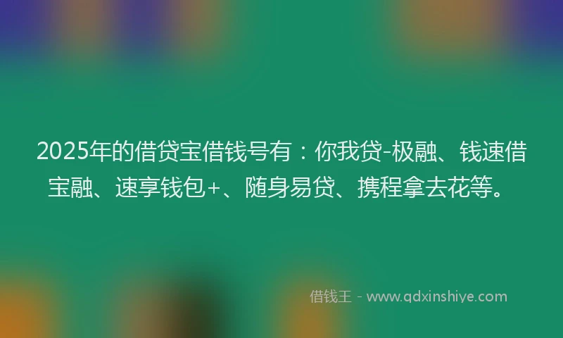 2025年的借贷宝借钱号有：你我贷-极融、钱速借宝融、速享钱包+、随身易贷、携程拿去花等。