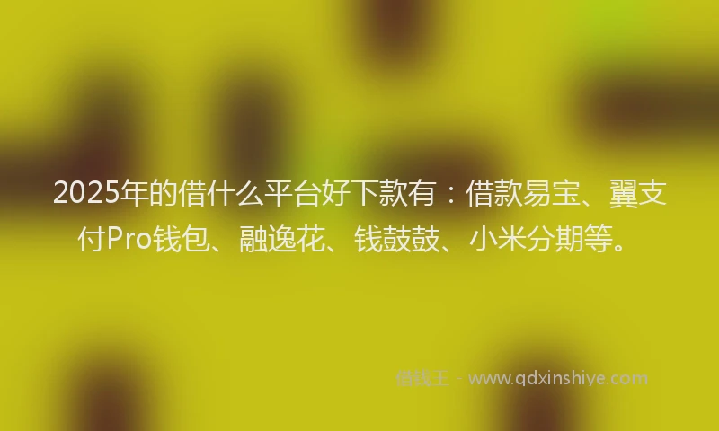 2025年的借什么平台好下款有:借款易宝、翼支付Pro钱包、融逸花、钱鼓鼓、小米分期等。