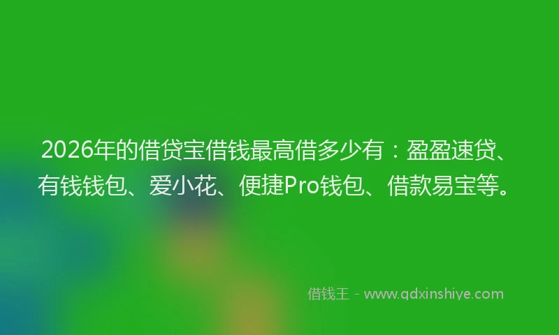 2026年的借贷宝借钱最高借多少有：盈盈速贷、有钱钱包、爱小花、便捷Pro钱包、借款易宝等。