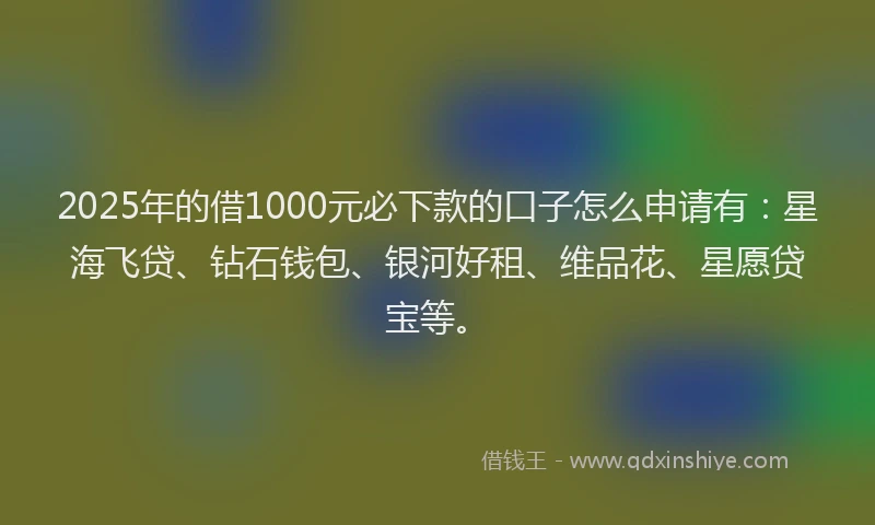 2025年的借1000元必下款的口子怎么申请有：星海飞贷、钻石钱包、银河好租、维品花、星愿贷宝等。