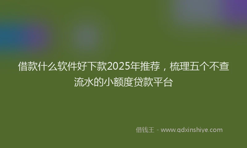 借款什么软件好下款2025年推荐，梳理五个不查流水的小额度贷款平台