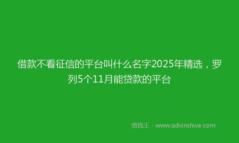 借款不看征信的平台叫什么名字2025年精选,罗列5个11月能贷款的平台