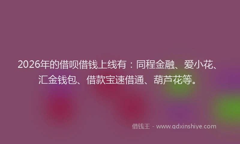2026年的借呗借钱上线有:同程金融、爱小花、汇金钱包、借款宝速借通、葫芦花等。