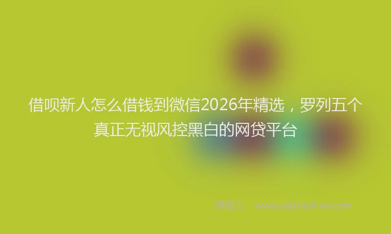 借呗新人怎么借钱到微信2026年精选,罗列五个真正无视风控黑白的网贷平台