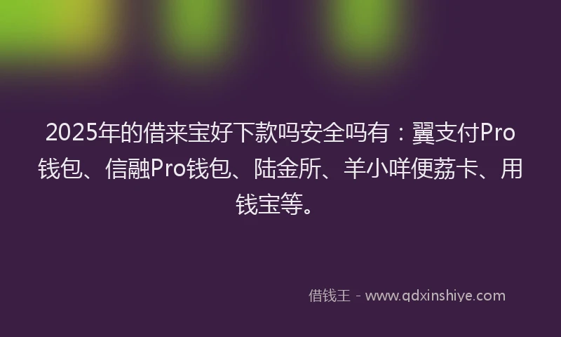 2025年的借来宝好下款吗安全吗有：翼支付Pro钱包、信融Pro钱包、陆金所、羊小咩便荔卡、用钱宝等。