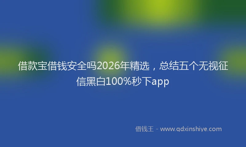 借款宝借钱安全吗2026年精选,总结五个无视征信黑白100%秒下app