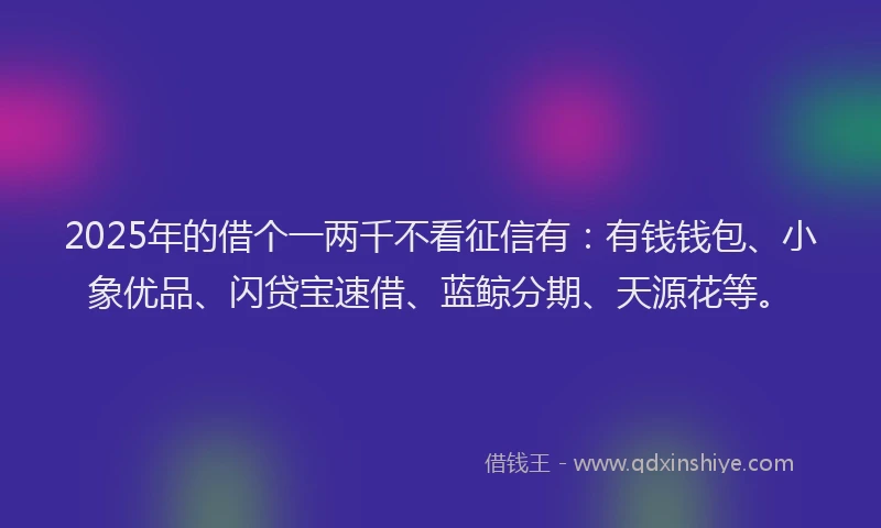 2025年的借个一两千不看征信有：有钱钱包、小象优品、闪贷宝速借、蓝鲸分期、天源花等。