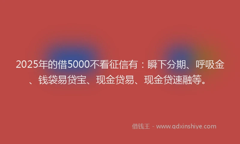 2025年的借5000不看征信有：瞬下分期、呼吸金、钱袋易贷宝、现金贷易、现金贷速融等。