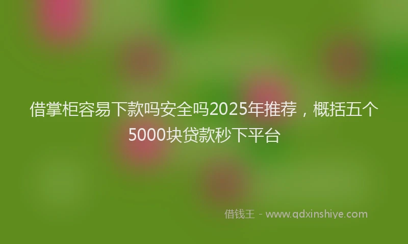 借掌柜容易下款吗安全吗2025年推荐,概括五个5000块贷款秒下平台