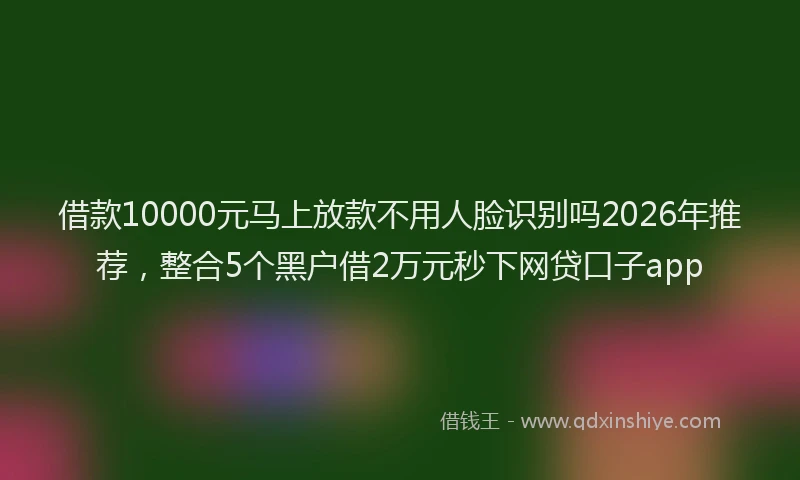 借款10000元马上放款不用人脸识别吗2026年推荐，整合5个黑户借2万元秒下网贷口子app