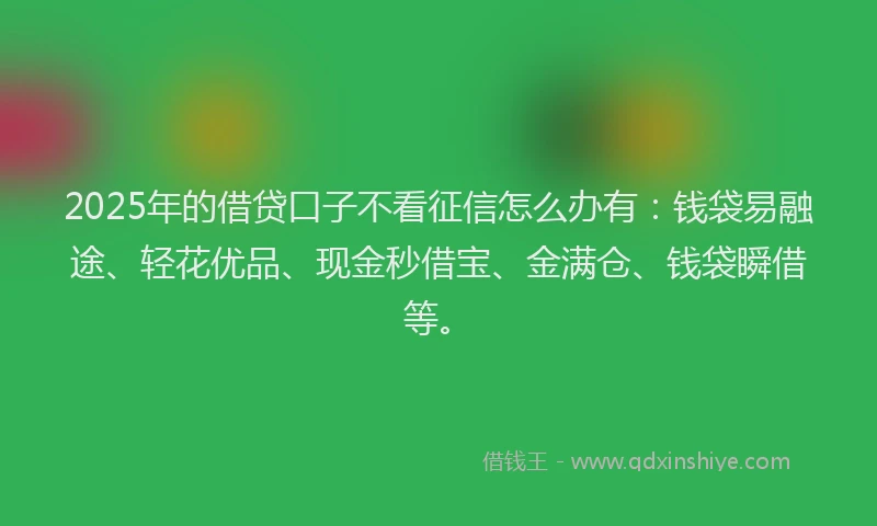 2025年的借贷口子不看征信怎么办有:钱袋易融途、轻花优品、现金秒借宝、金满仓、钱袋瞬借等。