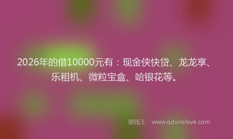 2026年的借10000元有：现金侠快贷、龙龙享、乐租机、微粒宝盒、哈银花等。