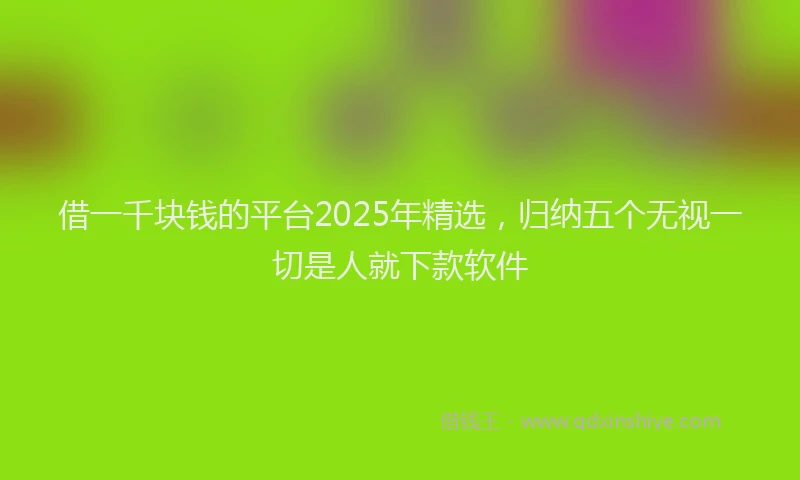 借一千块钱的平台2025年精选，归纳五个无视一切是人就下款软件