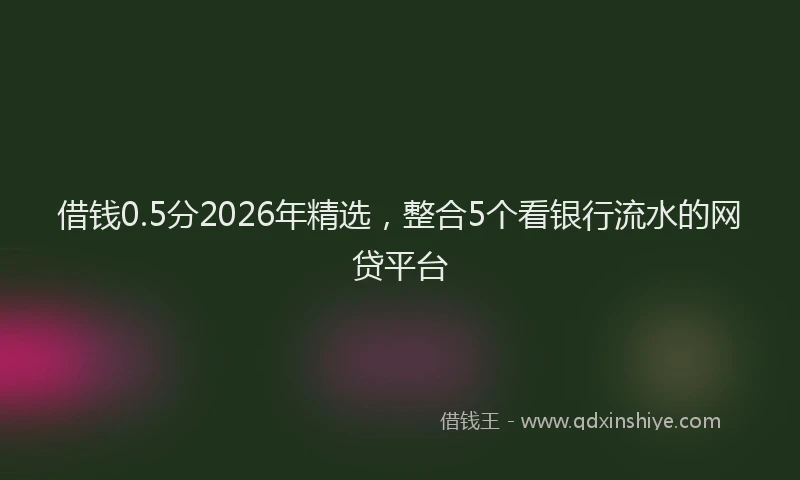 借钱0.5分2026年精选，整合5个看银行流水的网贷平台