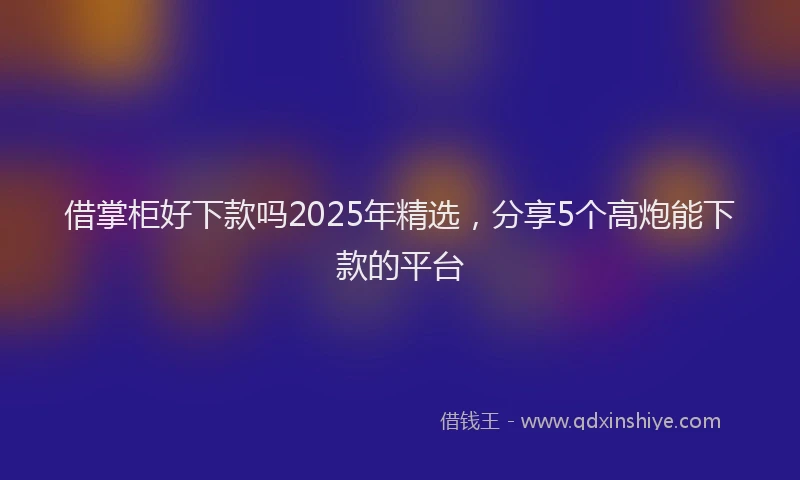 借掌柜好下款吗2025年精选,分享5个高炮能下款的平台