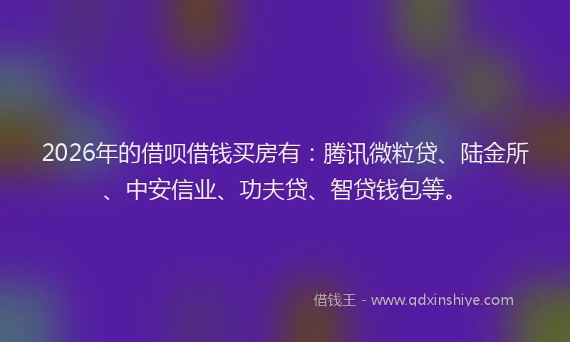 2026年的借呗借钱买房有:腾讯微粒贷、陆金所、中安信业、功夫贷、智贷钱包等。