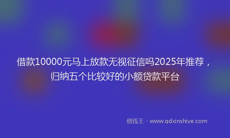 借款10000元马上放款无视征信吗2025年推荐，归纳五个比较好的小额贷款平台