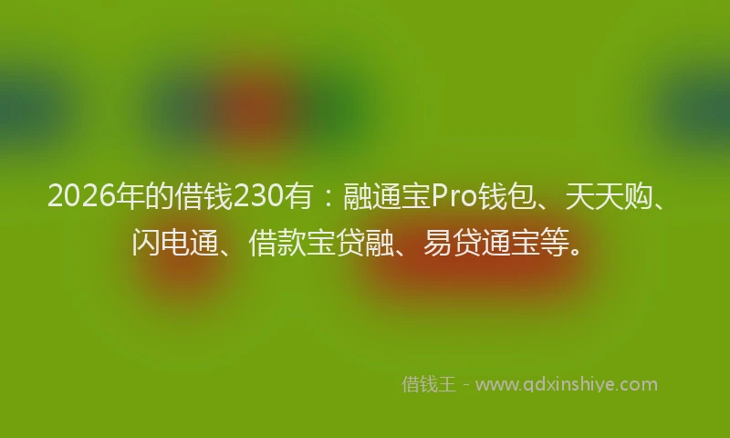 2026年的借钱230有：融通宝Pro钱包、天天购、闪电通、借款宝贷融、易贷通宝等。