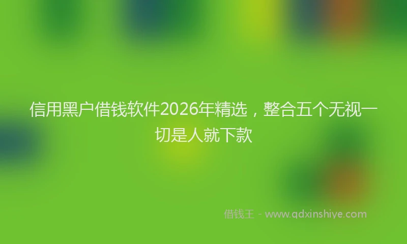 信用黑户借钱软件2026年精选,整合五个无视一切是人就下款