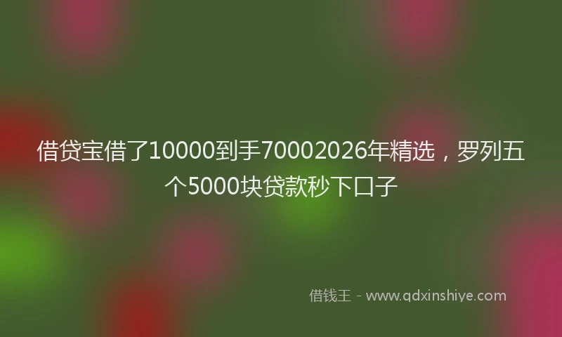 借贷宝借了10000到手70002026年精选，罗列五个5000块贷款秒下口子