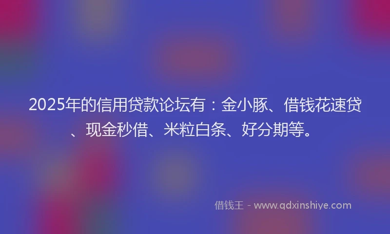 2025年的信用贷款论坛有：金小豚、借钱花速贷、现金秒借、米粒白条、好分期等。