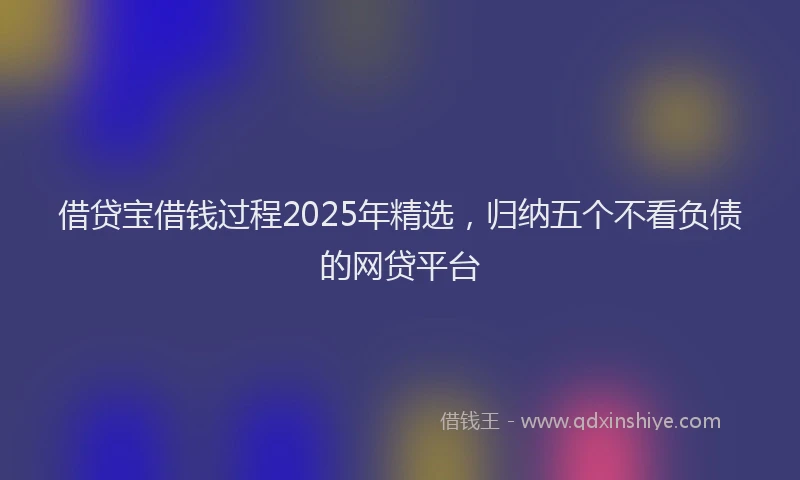 借贷宝借钱过程2025年精选,归纳五个不看负债的网贷平台