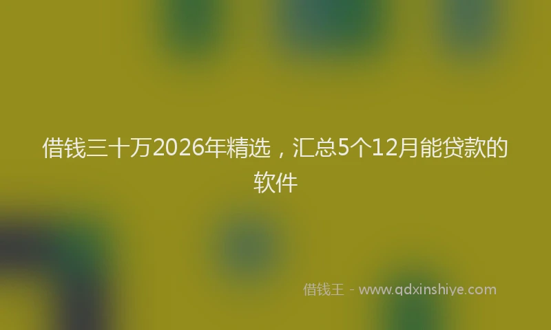 借钱三十万2026年精选，汇总5个12月能贷款的软件