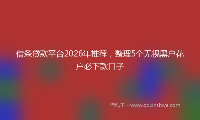 借条贷款平台2026年推荐，整理5个无视黑户花户必下款口子
