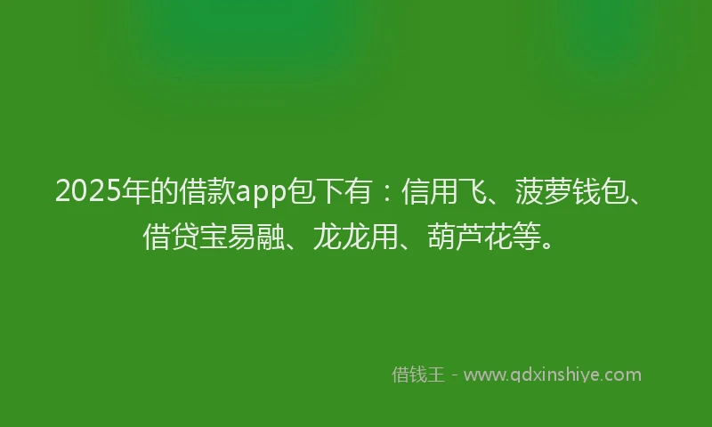 2025年的借款app包下有：信用飞、菠萝钱包、借贷宝易融、龙龙用、葫芦花等。