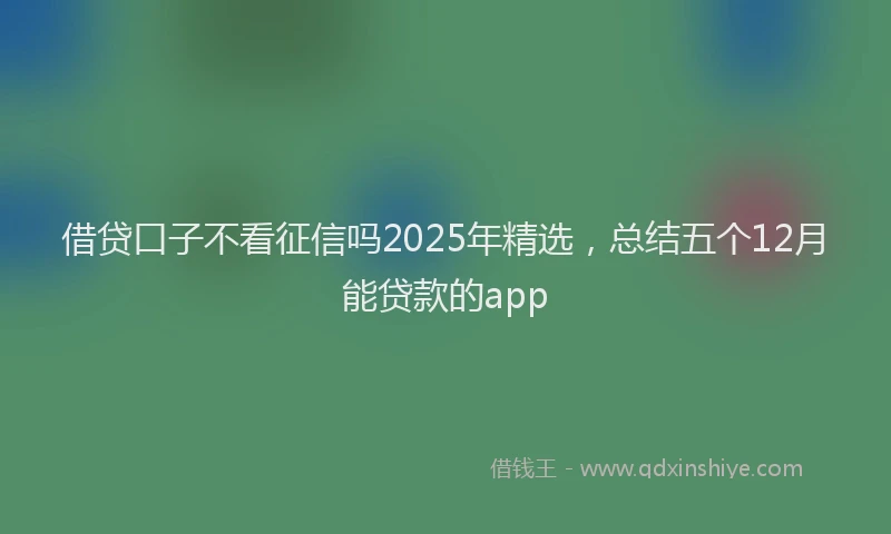 借贷口子不看征信吗2025年精选，总结五个12月能贷款的app