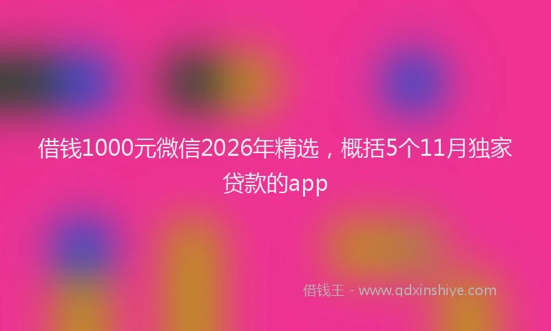 借钱1000元微信2026年精选,概括5个11月独家贷款的app