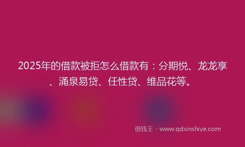 2025年的借款被拒怎么借款有：分期悦、龙龙享、涌泉易贷、任性贷、维品花等。
