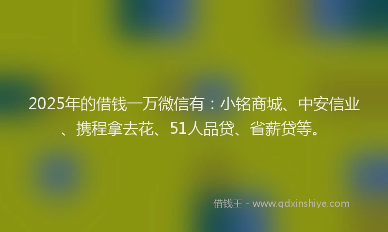 2025年的借钱一万微信有：小铭商城、中安信业、携程拿去花、51人品贷、省薪贷等。