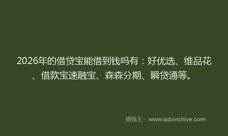 2026年的借贷宝能借到钱吗有：好优选、维品花、借款宝速融宝、森森分期、瞬贷通等。