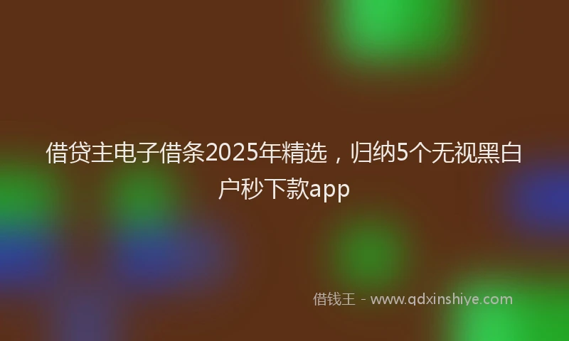 借贷主电子借条2025年精选，归纳5个无视黑白户秒下款app