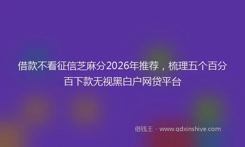 借款不看征信芝麻分2026年推荐，梳理五个百分百下款无视黑白户网贷平台
