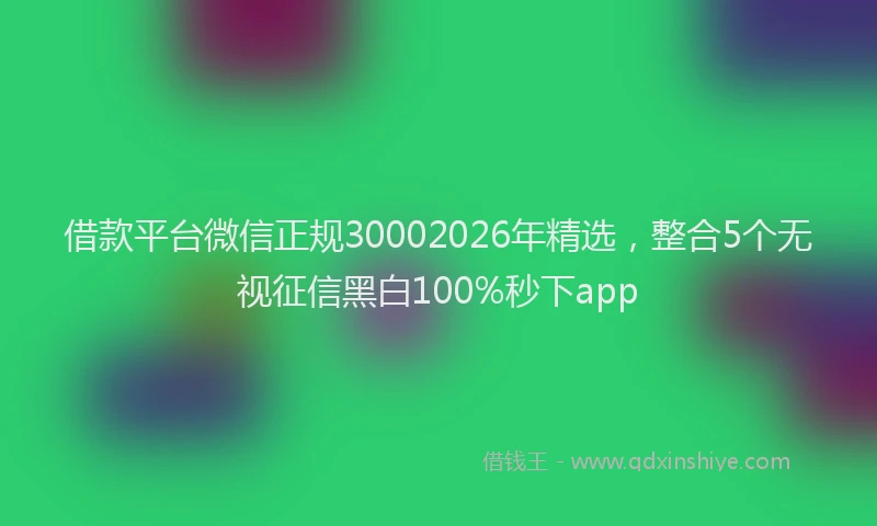 借款平台微信正规30002026年精选，整合5个无视征信黑白100%秒下app