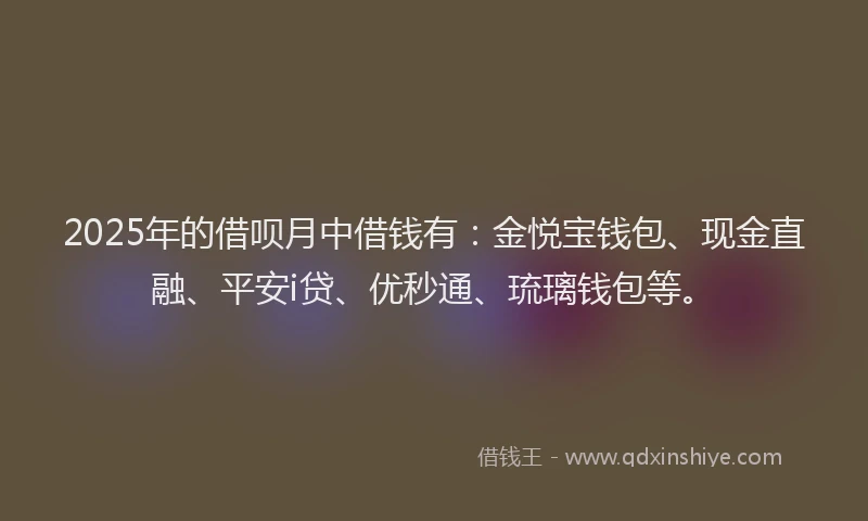 2025年的借呗月中借钱有：金悦宝钱包、现金直融、平安i贷、优秒通、琉璃钱包等。