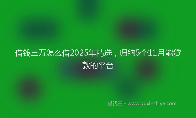 借钱三万怎么借2025年精选，归纳5个11月能贷款的平台