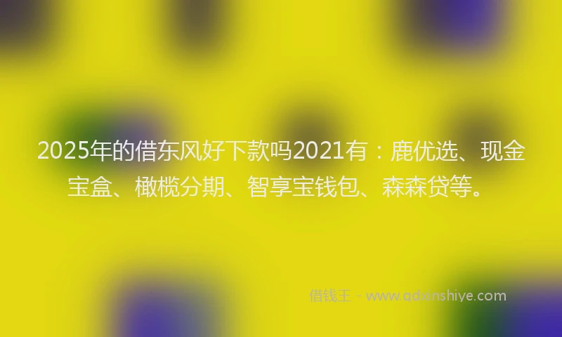 2025年的借东风好下款吗2021有：鹿优选、现金宝盒、橄榄分期、智享宝钱包、森森贷等。