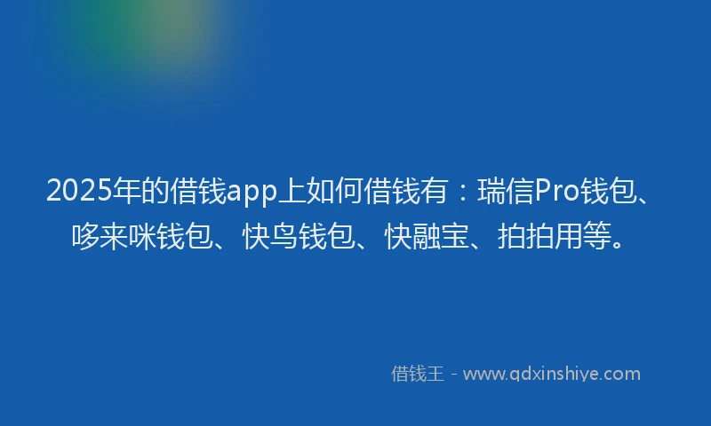2025年的借钱app上如何借钱有：瑞信Pro钱包、哆来咪钱包、快鸟钱包、快融宝、拍拍用等。