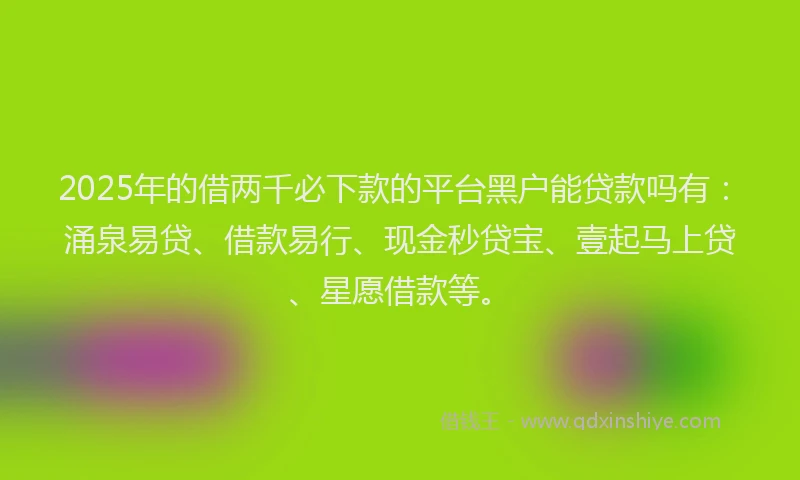 2025年的借两千必下款的平台黑户能贷款吗有：涌泉易贷、借款易行、现金秒贷宝、壹起马上贷、星愿借款等。