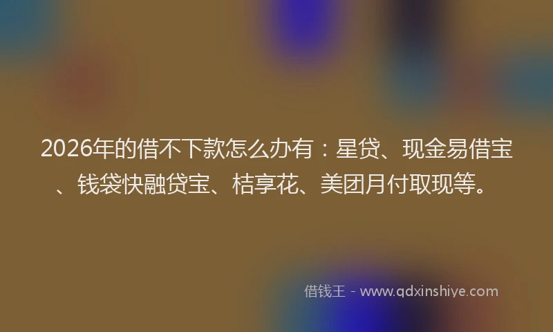 2026年的借不下款怎么办有:星贷、现金易借宝、钱袋快融贷宝、桔享花、美团月付取现等。