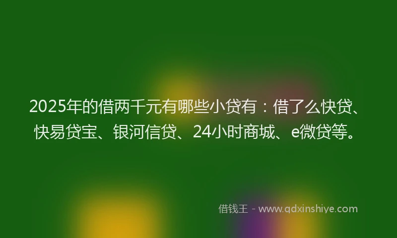 2025年的借两千元有哪些小贷有:借了么快贷、快易贷宝、银河信贷、24小时商城、e微贷等。