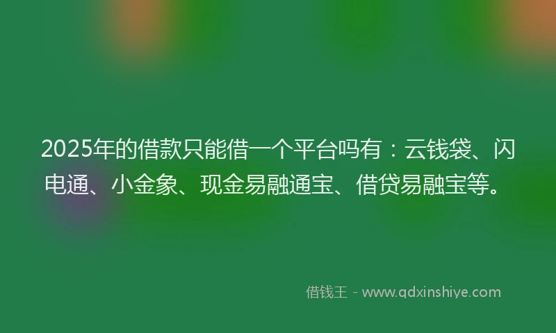 2025年的借款只能借一个平台吗有:云钱袋、闪电通、小金象、现金易融通宝、借贷易融宝等。